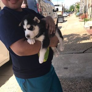 Meet your Posher, Gloria